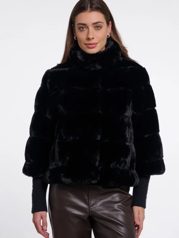 feline.7002611 black 01