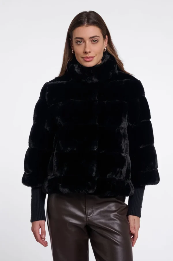 feline.7002611 black 01