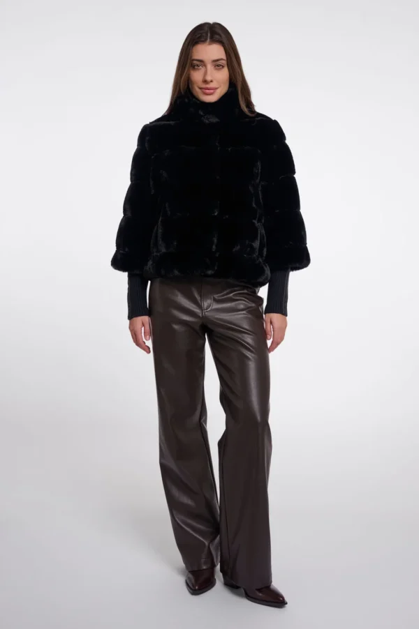 feline.7002611 black 04